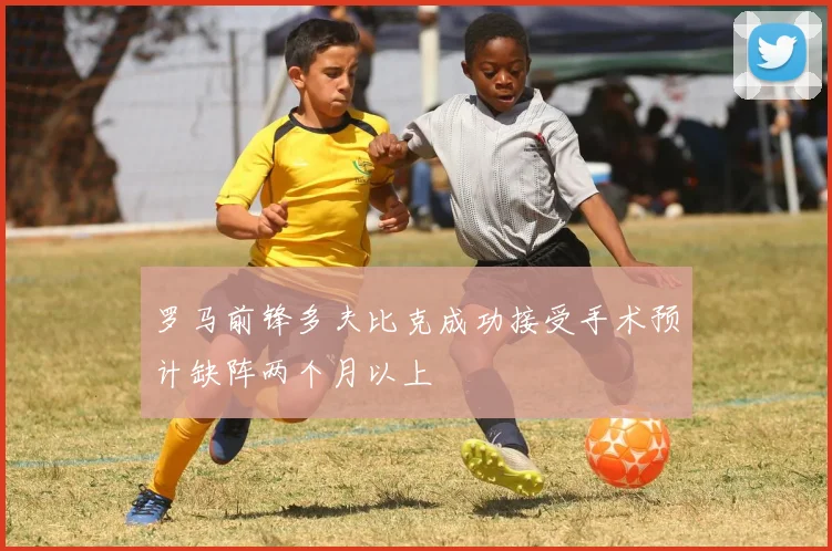罗马前锋多夫比克成功接受手术预计缺阵两个月以上