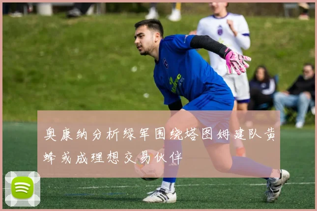 奥康纳分析绿军围绕塔图姆建队黄蜂或成理想交易伙伴