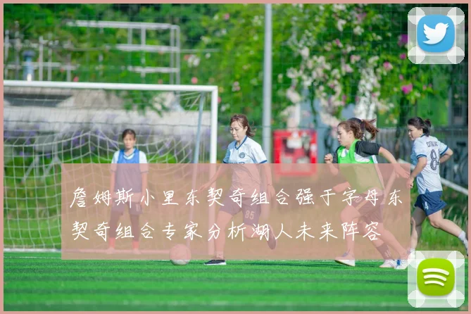 詹姆斯小里东契奇组合强于字母东契奇组合专家分析湖人未来阵容
