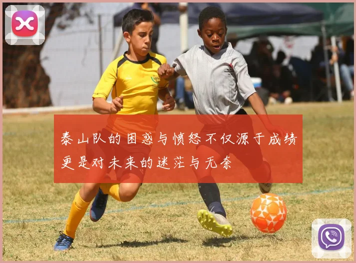 泰山队的困惑与愤怒不仅源于成绩更是对未来的迷茫与无奈